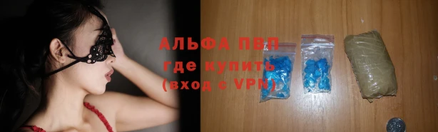 мяу мяу мука Баксан