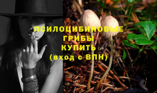 тгк Балахна
